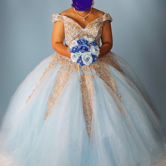 Quinceanera gown - Picture 1 of 6